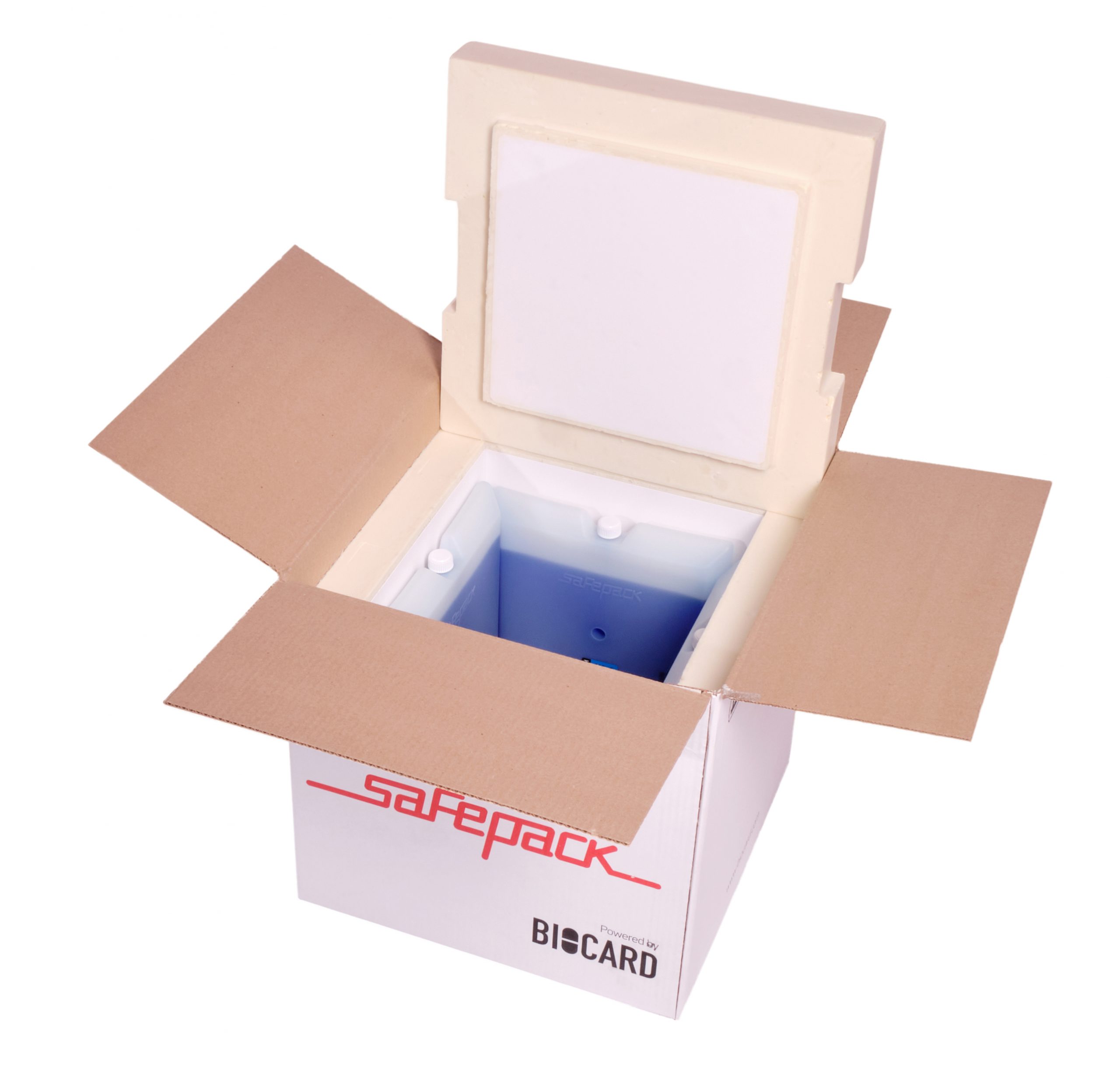 ТЕРМОКОНТЕЙНЕР SAFEPACK SP-20 PPU В ПЛАСТИКЕ